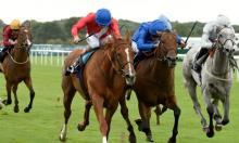 Joel Stakes Position Map Preview: Pace points to Reality