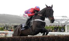 Ratings Update: Cheltenham Festival 2016