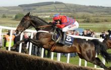 Sprinter Sacre: The Timeform View