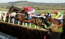 Cheltenham Festival Winners: Past vs Present