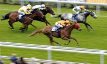Ayr Gold Cup: Orion's Bow worth a shot