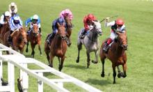 Irish Oaks Preview: Star Catcher can shine at the Curragh