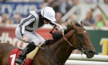 Hot to Trot: Home comforts for Ellison at Newcastle