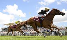 Gold Cup Preview: Stradivarius can strike for Gosden
