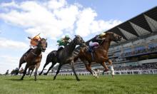 WH Stayers' Million: Stradivarius a potential breed-shaper