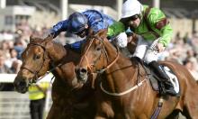 Riding the waves: The 5 most improved jockeys of the year