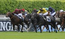 French Prix Maurice de Gheest Preview: Brando overpriced