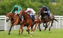 Blast From The Past: 2014 Pinnacle Stakes