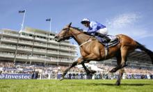 Hot To Trot: Expect more Magique from Gosden