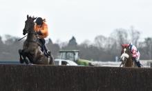 Kim Muir Challenge Cup: Mulholland has staying power