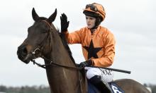 Festival Firsts: Five trainers to look out for at Cheltenham