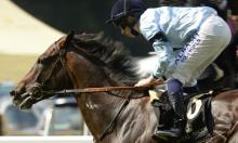 Rowleyfile Preview: King George V Handicap 2016