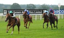 Rowleyfile Preview: Old Borough Handicap 2016