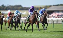 2000 Guineas Preview: O'Brien can strike once again