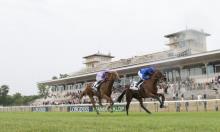 Hot To Trot: Bin Suroor targets German Prize Money