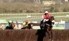 bet365 Gold Cup Preview: Druid to rule once more