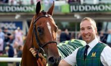 Brocklesby Stakes: a pedigree perspective