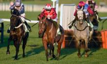 Ratings Update: Cheltenham, Cork and Punchestown