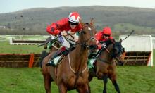 Hot To Trot: Honeyball enjoying sweet run of success