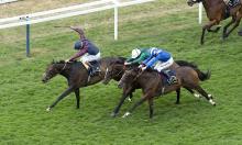 Weekend Preview: The chapters of Champions Day