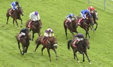 Betfair Sprint Cup Preview: Brando can put his name up in lights