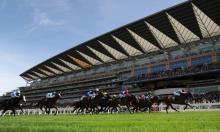 Ratings Update:  Champions Day 2017