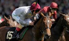 French Preview: Metro to reverse Robert Papin form