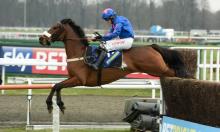 BetBright Chase: Steve the stone cold pick at Kempton