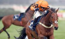 Christmas Sectional Debrief: Kempton and Leopardstown