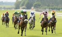 Phoenix Stakes Preview: Caravaggio to prove king of the Curragh