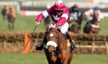 Tattersalls Horses In Training Sale 2016: Five To Follow