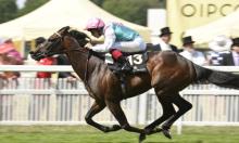 Jamie Lynch's Weekend Preview: Test of Time and Tactics