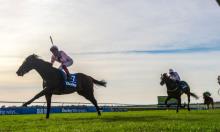 Too Darn Hot: A Derby contender?