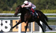 Ratings Update: Sandown and the Curragh