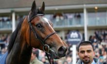 Lingfield AW Championship : No need to be a Eurosceptic