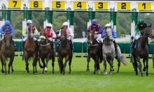 Doncaster Mile Preview: Robin to make fitness tell