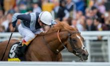 Coral-Eclipse Ratings Update: Ulysses still on the up