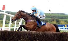 Rowleyfile Preview: 2019 Punchestown Festival