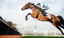 Three jumping giants bidding to shine this weekend