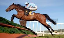 Grande Course de Haies: Un de Sceaux enters Dragon's den