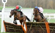 Rowleyfile Preview: Coral Cup