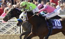 Preakness Stakes: Stradivari can dent Triple Crown dream