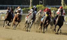 Kentucky Derby: Mo Tom an each-way Saint