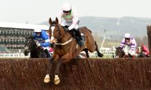 Vautour: The Timeform View