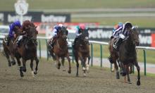 All-Weather Championships Finals Day 2019 - Through the card