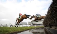 Hot to Trot: Light at the end of the tunnel for Balding