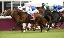 Jamie Lynch: Blitz and Glamour in Paris