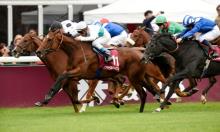 French Guineas Preview: Wootton well worth a bet