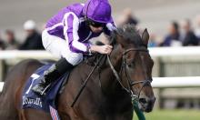 Ratings Update: Wichita is one to look out for