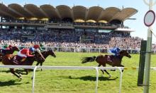 French Preview: Wild Illusion the one to beat